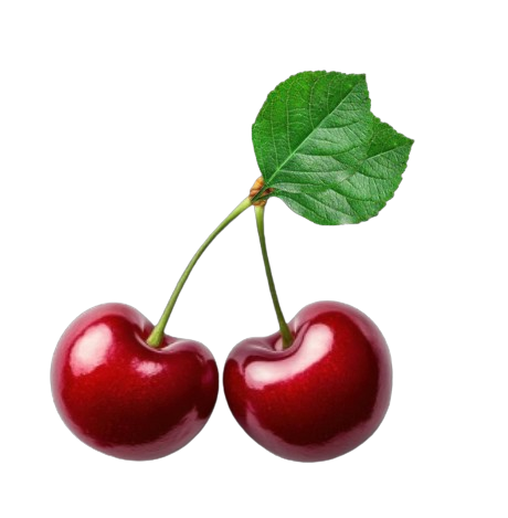 Cherry STICKO Sticker Pack